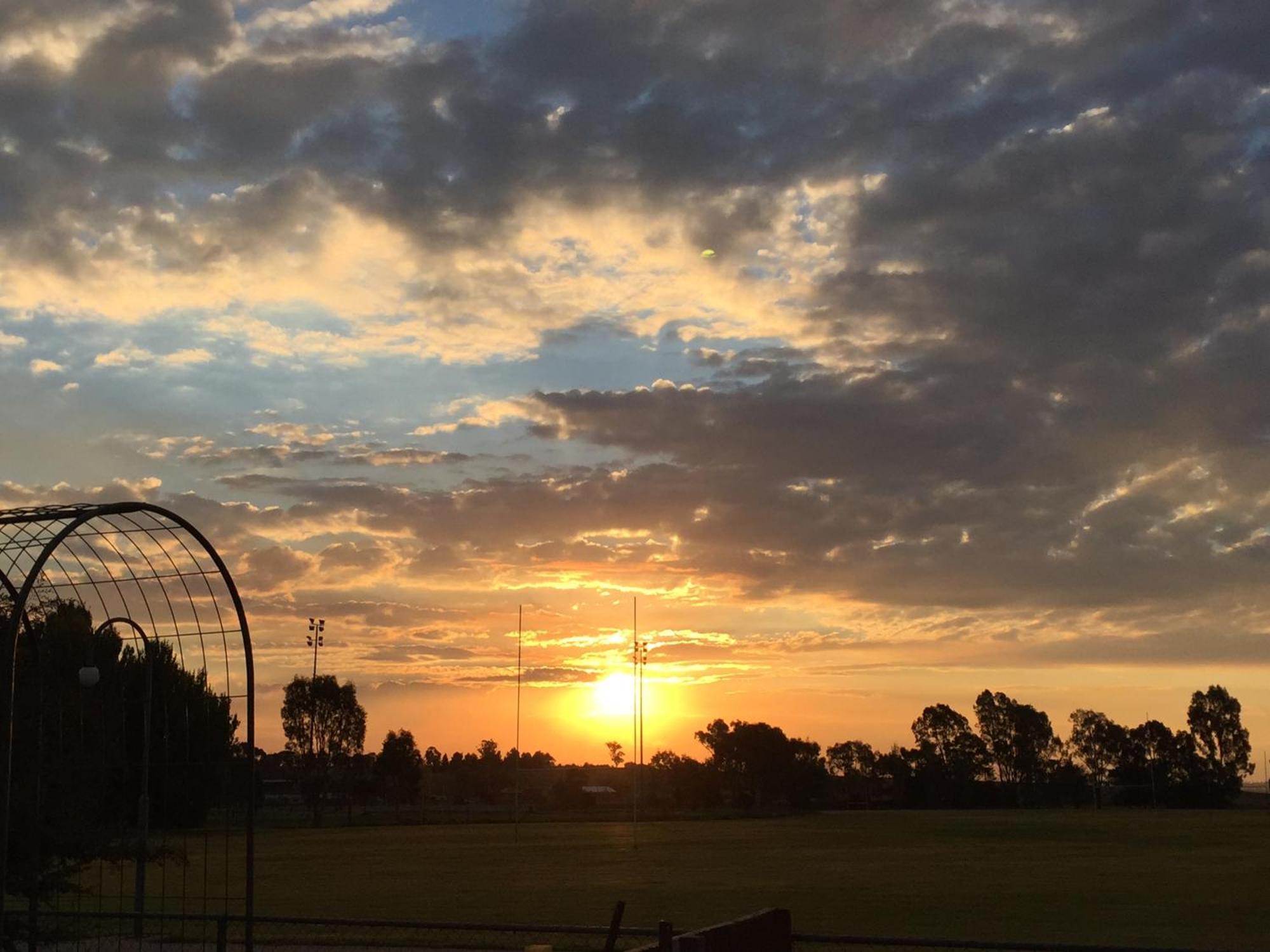 Junee Tourist Park Dış mekan fotoğraf