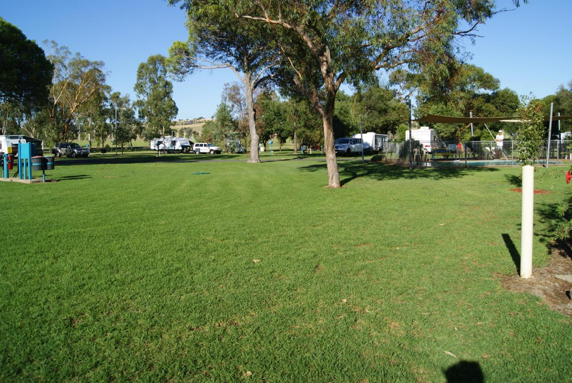 Junee Tourist Park Dış mekan fotoğraf