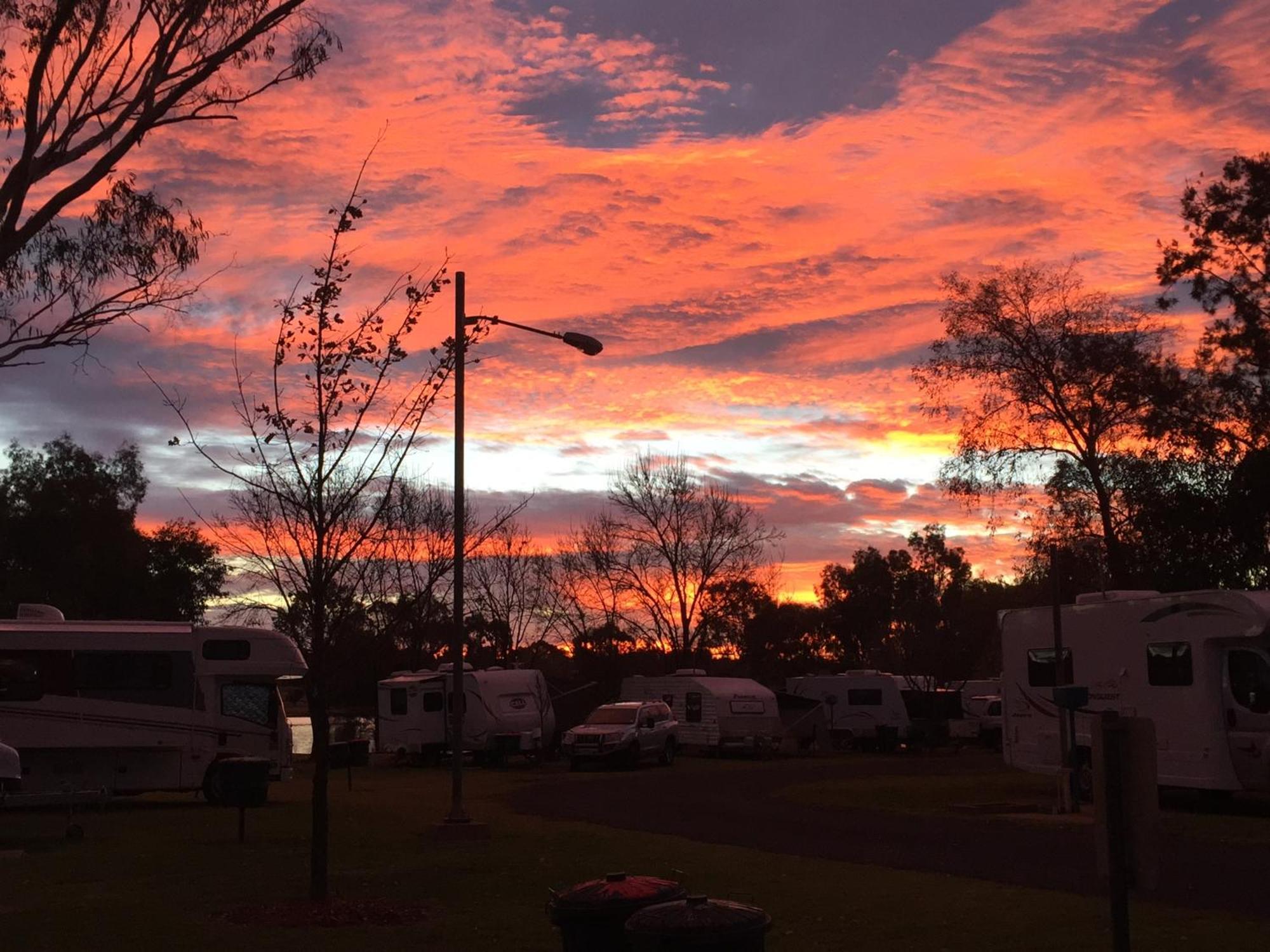 Junee Tourist Park Dış mekan fotoğraf