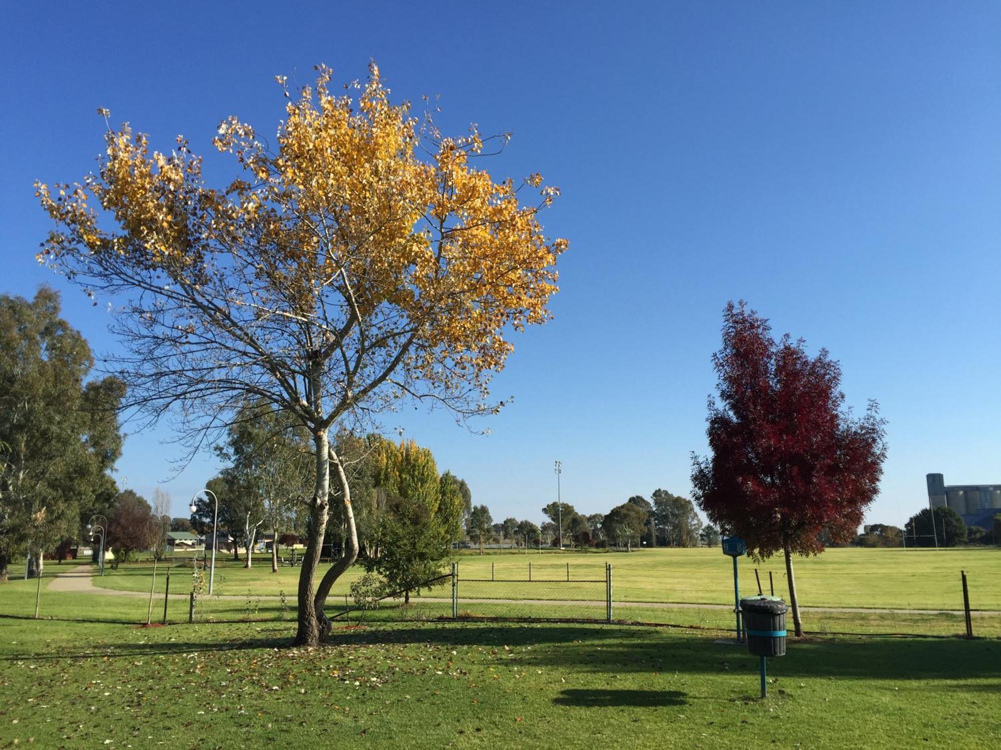 Junee Tourist Park Dış mekan fotoğraf