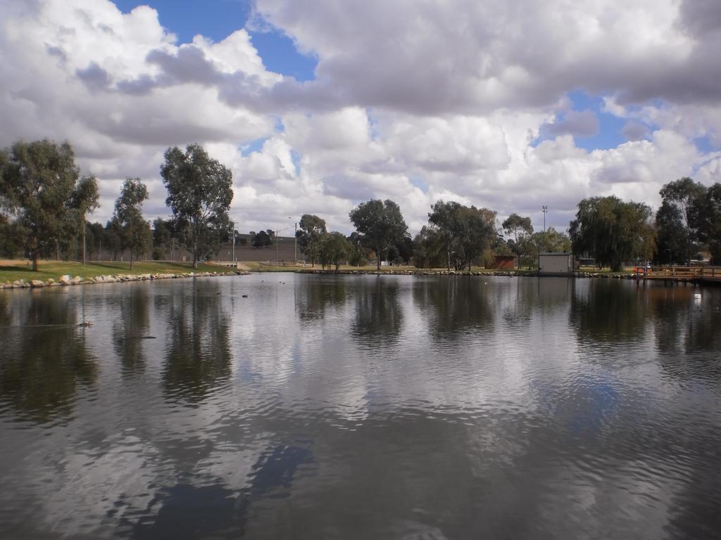 Junee Tourist Park Dış mekan fotoğraf