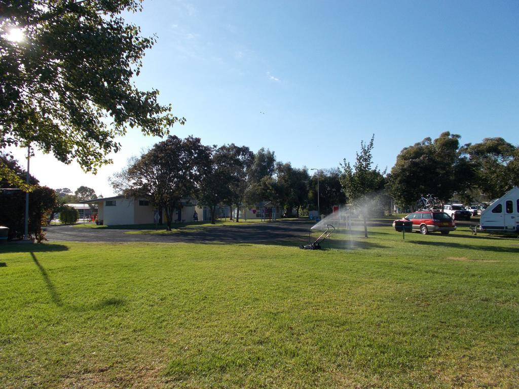 Junee Tourist Park Dış mekan fotoğraf