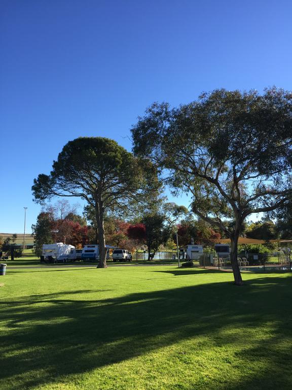 Junee Tourist Park Dış mekan fotoğraf