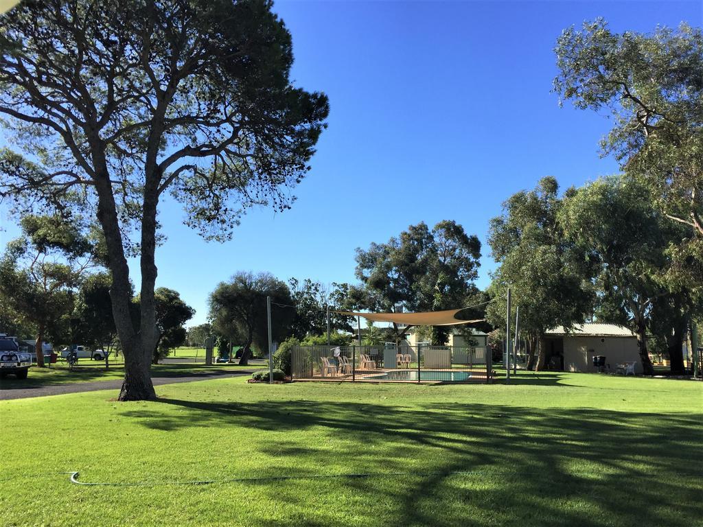 Junee Tourist Park Dış mekan fotoğraf