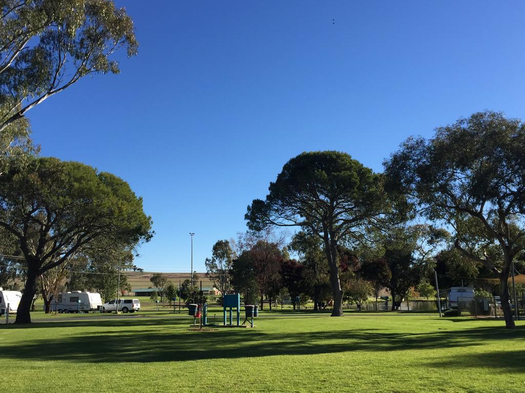 Junee Tourist Park Dış mekan fotoğraf