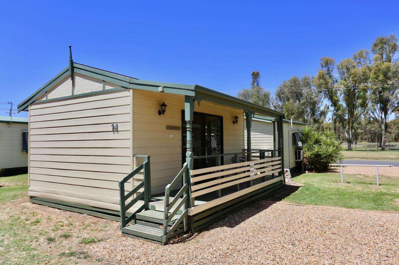 Junee Tourist Park Oda fotoğraf