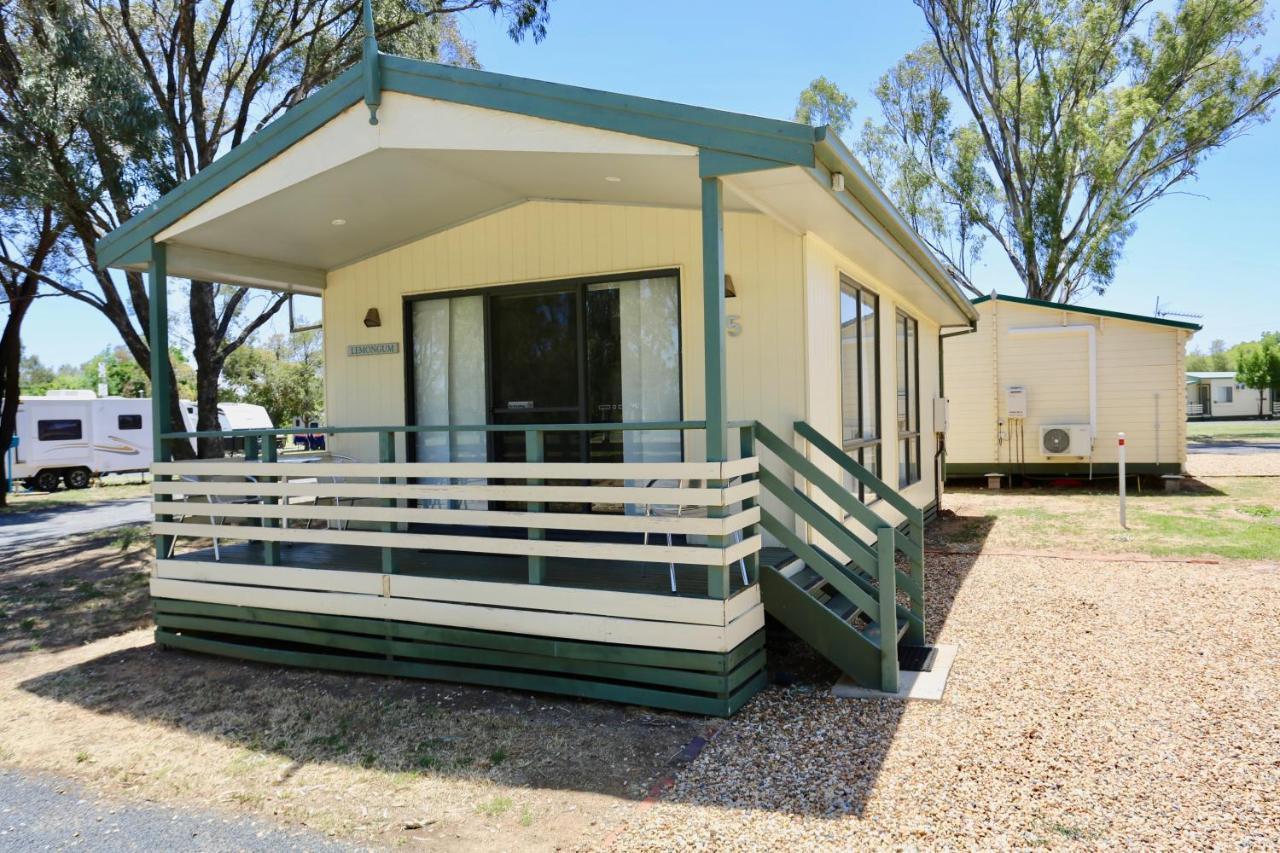 Junee Tourist Park Oda fotoğraf